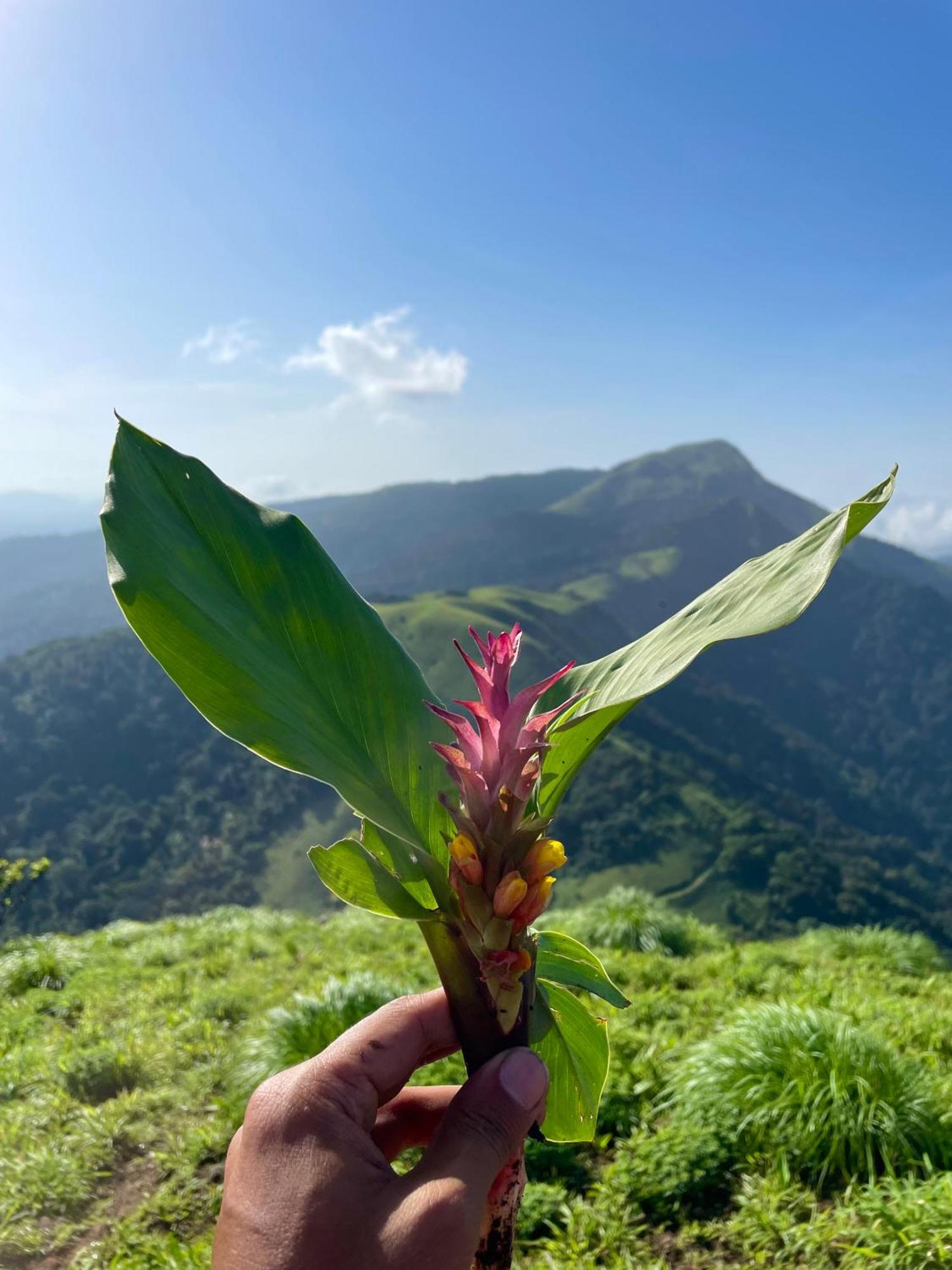 Ikyam Daire Madikeri Dış mekan fotoğraf